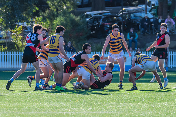 Rd 15 MPD - North Shore v Sydney Uni - 3 August 2024
