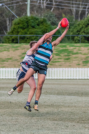 Platinum Div Preliminary Final - Southern Power v Camden Cats -
