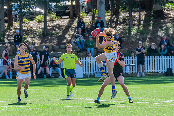 Rd 15 MPD - North Shore v Sydney Uni - 3 August 2024