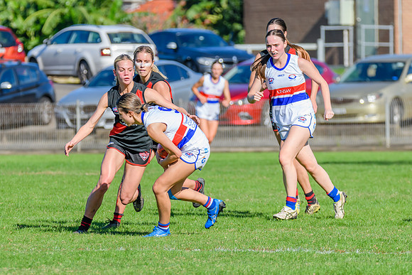 Rd 6 WPD - UNSW ES v North Shore - 14 May 2022