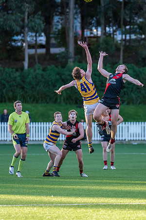 Rd 3 MPD - North Shore v Sydney Uni - 23 April 2022