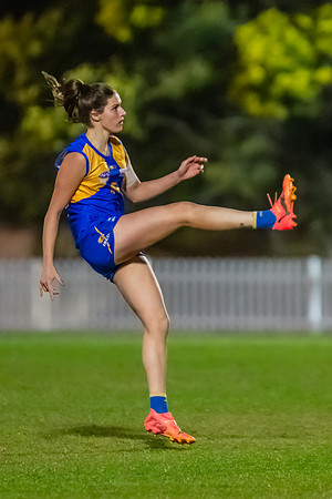 Rd 17 WPD - East Coast v St George - 17 August 2024