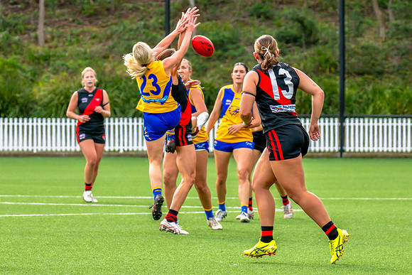 Rd 4 WPD - North Shore v East Coast - 26 April 2025