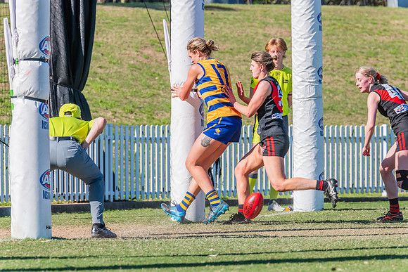 WPD Elimination Final - North Shore v Sydney Uni - 1 September 2
