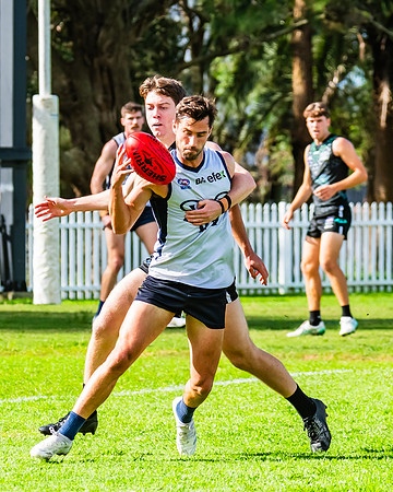 Rd 8 MPD - UTS v SWS - 31 May 2025