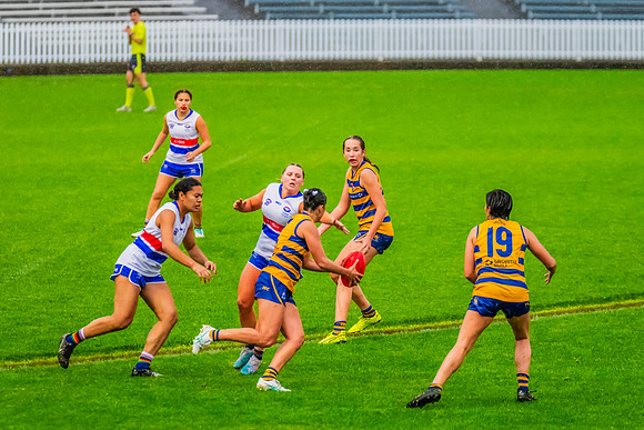 Rd 8 WPD - UNSW-ES v Sydney Uni - 1 June 2024