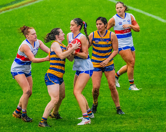 Rd 8 WPD - UNSW-ES v Sydney Uni - 1 June 2024