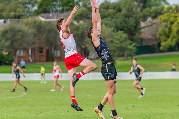 Rd 7 MPD - St George v UTS - 25 May 2024