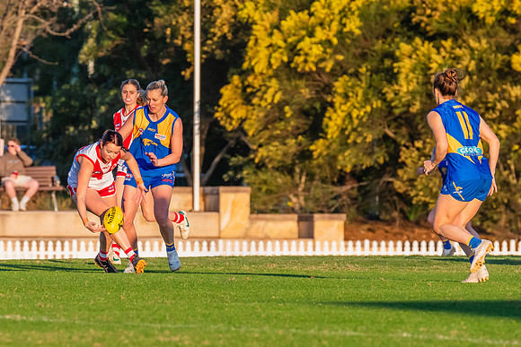 Rd 17 WPD - East Coast v St George - 17 August 2024