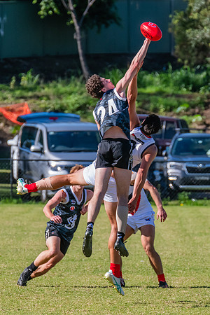 Rd 4 MPD - Inner West v Pennant Hills - 25 April 2024