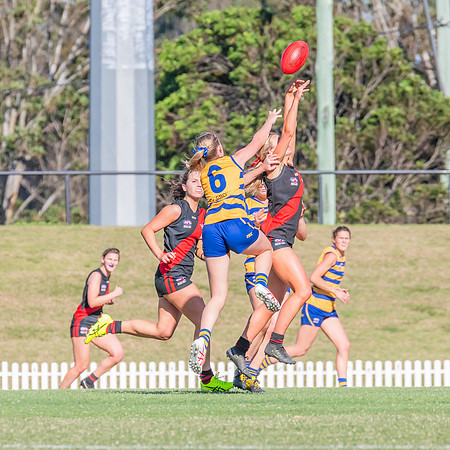 WPD Elimination Final - North Shore v Sydney Uni - 1 September 2