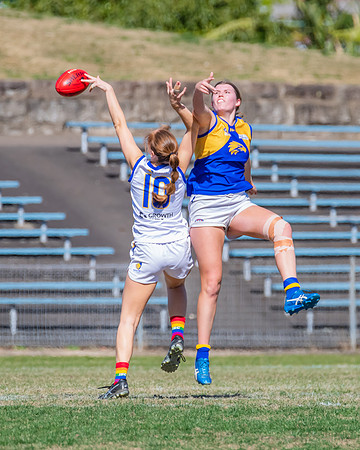 WPD Preliminary Final - East Coast v Sydney University - 21 Augu