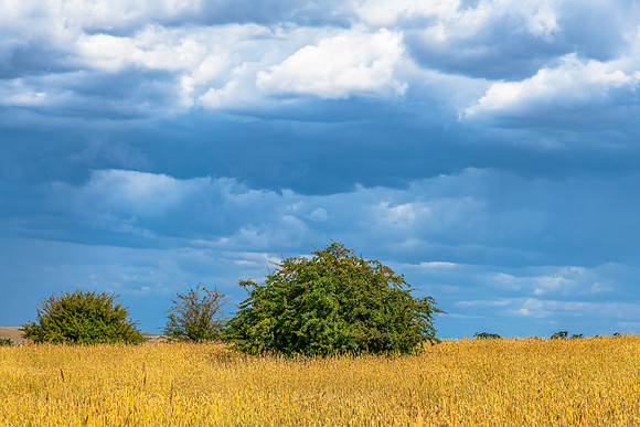 Afternoon storm clouds over the rural countryside