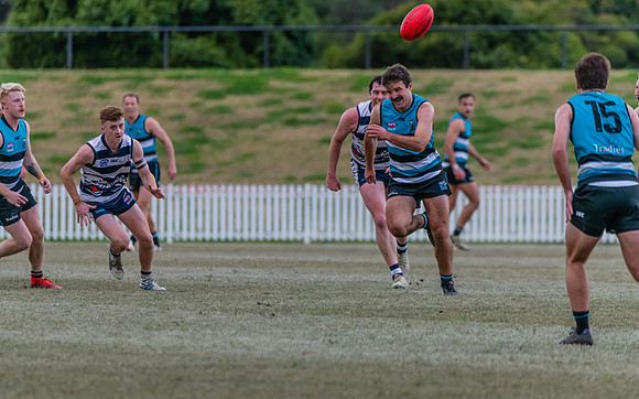 Platinum Div Preliminary Final - Southern Power v Camden Cats -