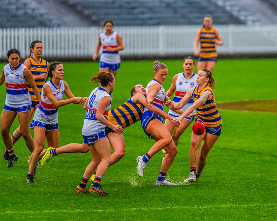 Rd 8 WPD - UNSW-ES v Sydney Uni - 1 June 2024