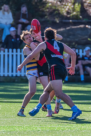 Rd 15 MPD - North Shore v Sydney Uni - 3 August 2024