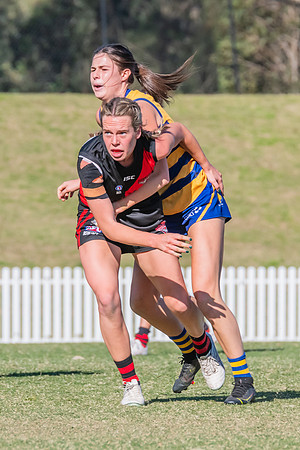 WPD Elimination Final - North Shore v Sydney Uni - 1 September 2