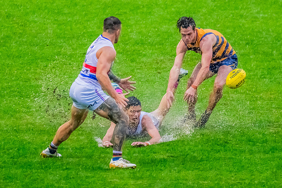 Rd 8 MPD - UNSW-ES v Sydney Uni - 1 June 2024