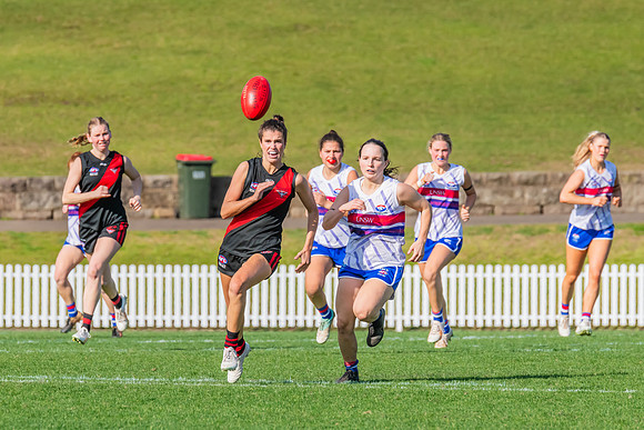 Rd 16 WPD - UNSW-ES v North Shore - 10 August 2024