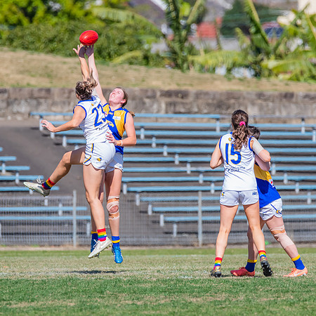 WPD Preliminary Final - East Coast v Sydney University - 21 Augu