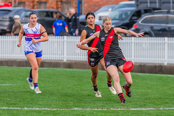 Rd 16 WPD - UNSW-ES v North Shore - 10 August 2024