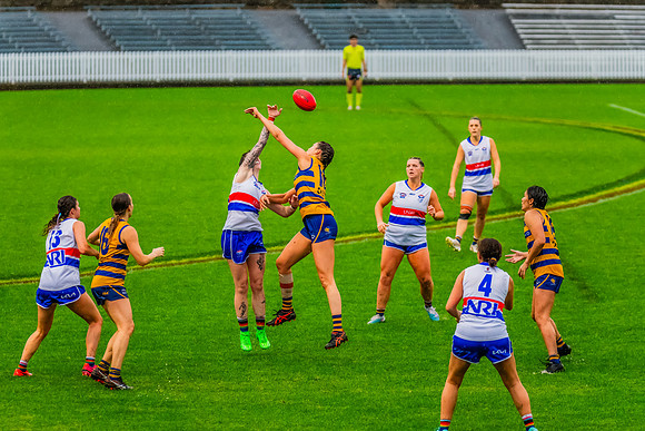 Rd 8 WPD - UNSW-ES v Sydney Uni - 1 June 2024