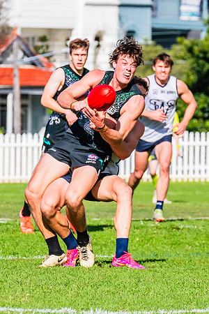 Rd 8 MPD - UTS v SWS - 31 May 2025