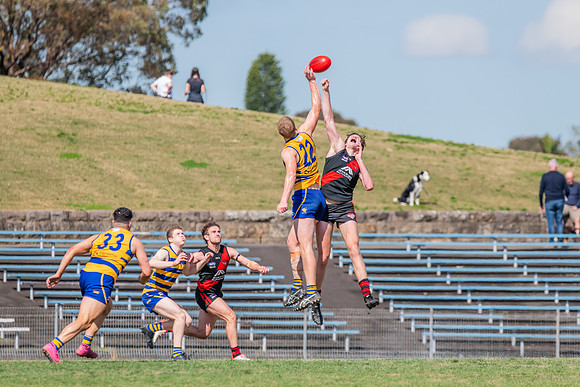 MPD Reserves Major Semi Final - Sydney University v North Shore