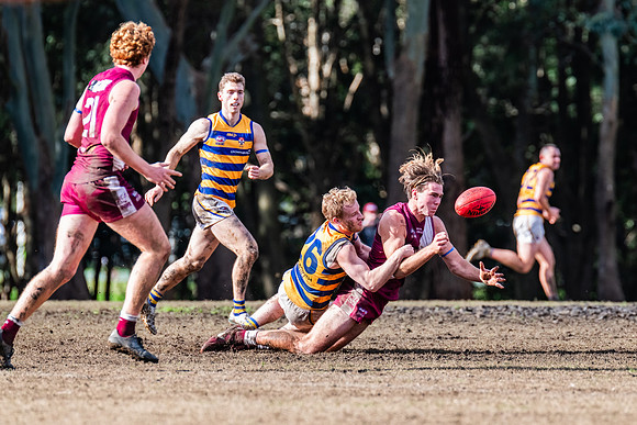Rd 17 MPD - Manly Warringah v Sydney Uni - 16 August 2025