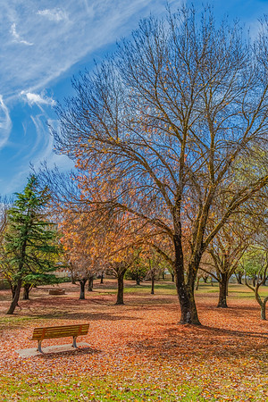 Autumn gives way to Winter at the Park