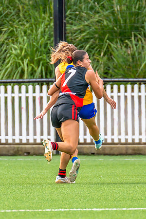 Rd 4 WPD - North Shore v East Coast - 26 April 2025