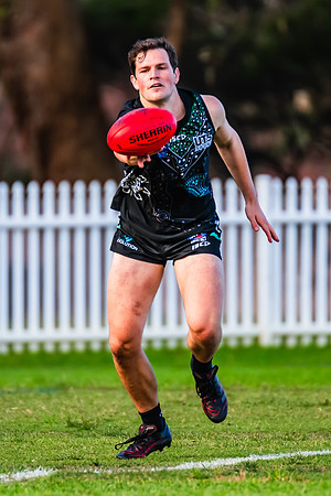 Rd 8 MPD - UTS v SWS - 31 May 2025