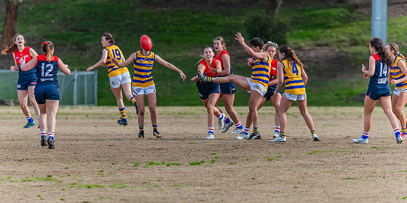 Rd 14 WPD - Pennant Hills v Sydney Uni - 16 July 2022