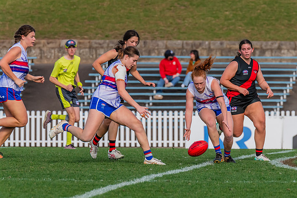 Rd 16 WPD - UNSW-ES v North Shore - 10 August 2024