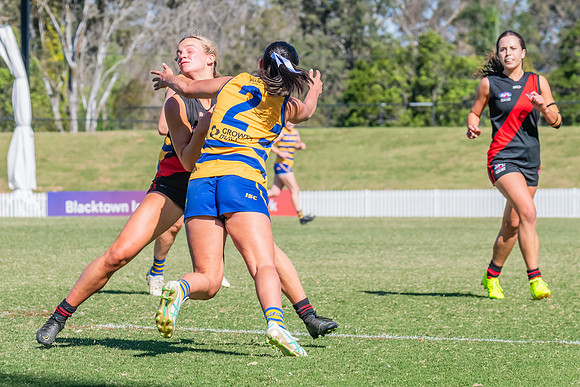 WPD Elimination Final - North Shore v Sydney Uni - 1 September 2