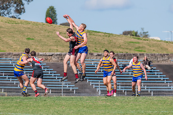 MPD Reserves Major Semi Final - Sydney University v North Shore