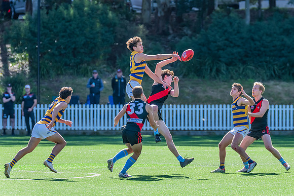 Rd 15 MPD - North Shore v Sydney Uni - 3 August 2024