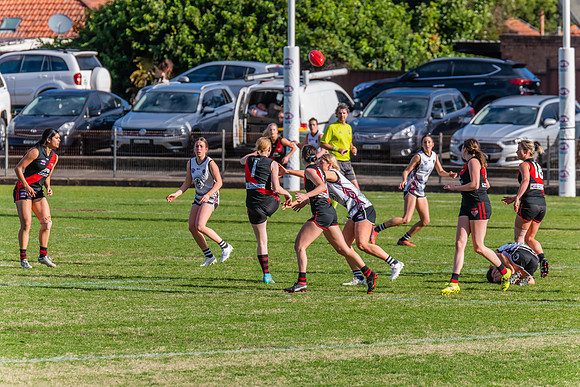 WPD Elimination Final - North Shore v Inner West - 7 August 2022