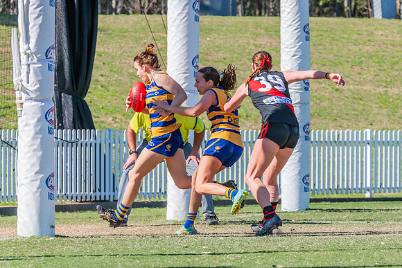 WPD Elimination Final - North Shore v Sydney Uni - 1 September 2