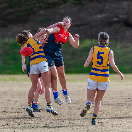 Rd 14 WPD - Pennant Hills v Sydney Uni - 16 July 2022