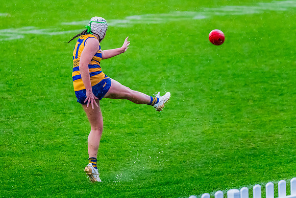 Rd 8 WPD - UNSW-ES v Sydney Uni - 1 June 2024
