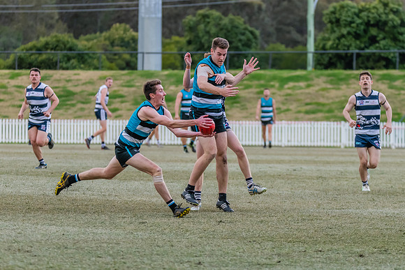 Platinum Div Preliminary Final - Southern Power v Camden Cats -