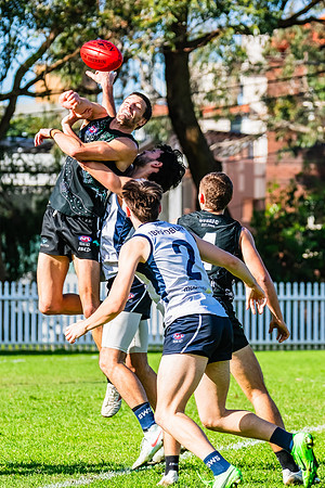 Rd 8 MPD - UTS v SWS - 31 May 2025