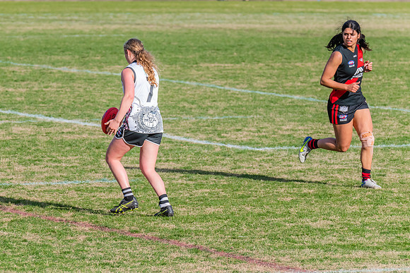 WPD Elimination Final - North Shore v Inner West - 7 August 2022
