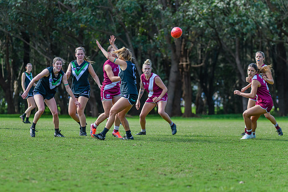 Rd 5 WPD - Manly Warringah v UTS - 7 May 2022