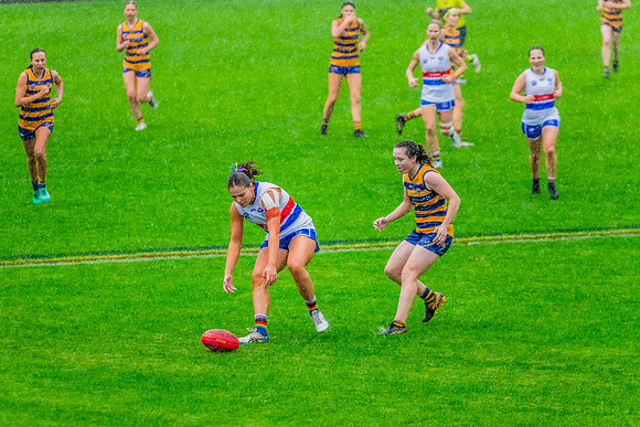 Rd 8 WPD - UNSW-ES v Sydney Uni - 1 June 2024