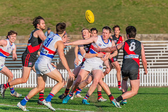 Rd 16 MPD - UNSW-ES v North Shore - 10 August 2024