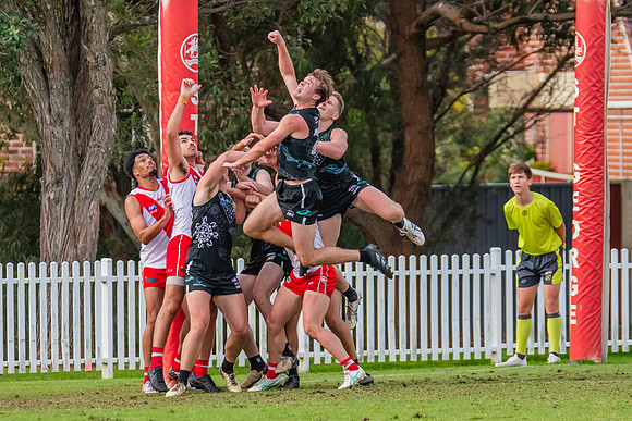 Rd 7 MPD - St George v UTS - 25 May 2024