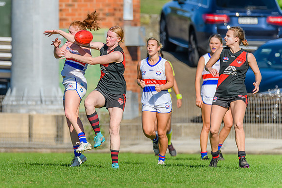 Rd 6 WPD - UNSW ES v North Shore - 14 May 2022