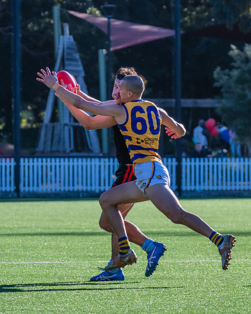 Rd 15 MPD - North Shore v Sydney Uni - 3 August 2024